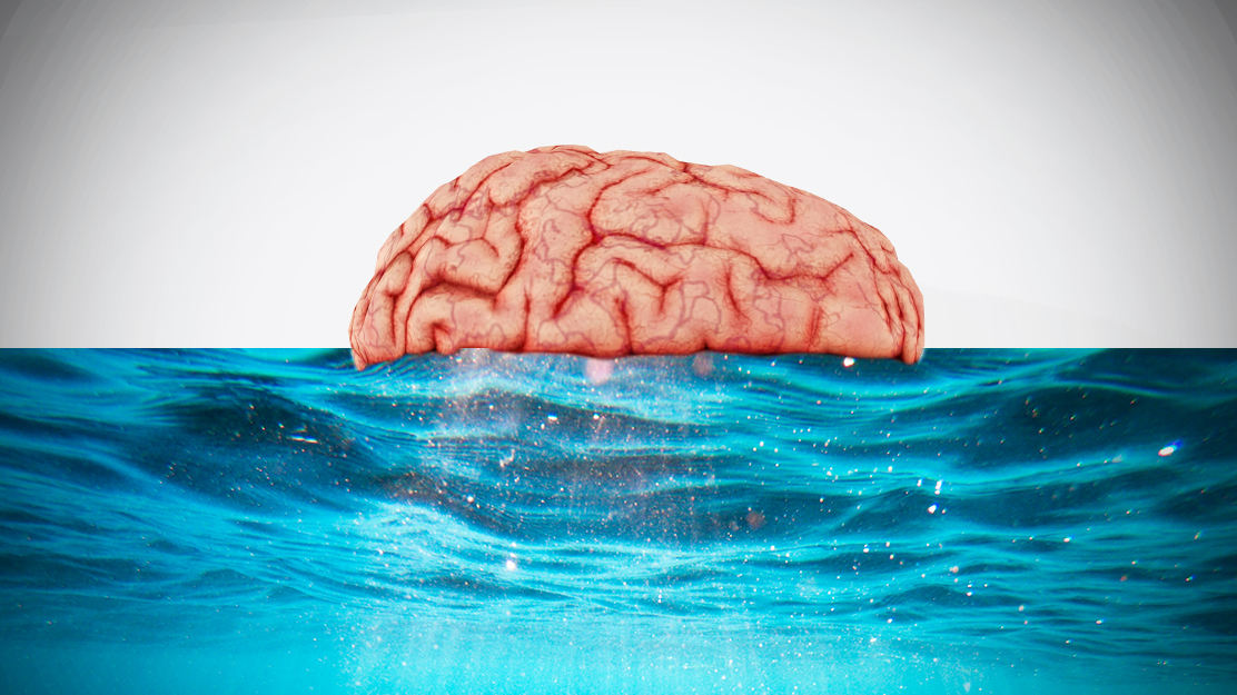 brain on half of the image and water on the other